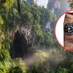 Lavazza ochrona lasów deszczowych