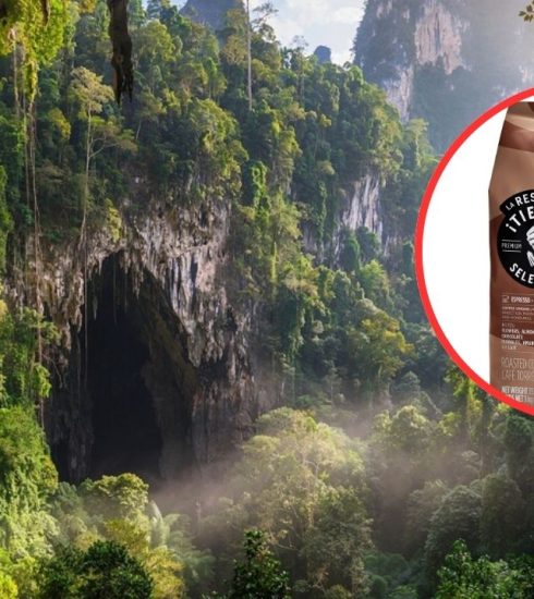 Lavazza ochrona lasów deszczowych